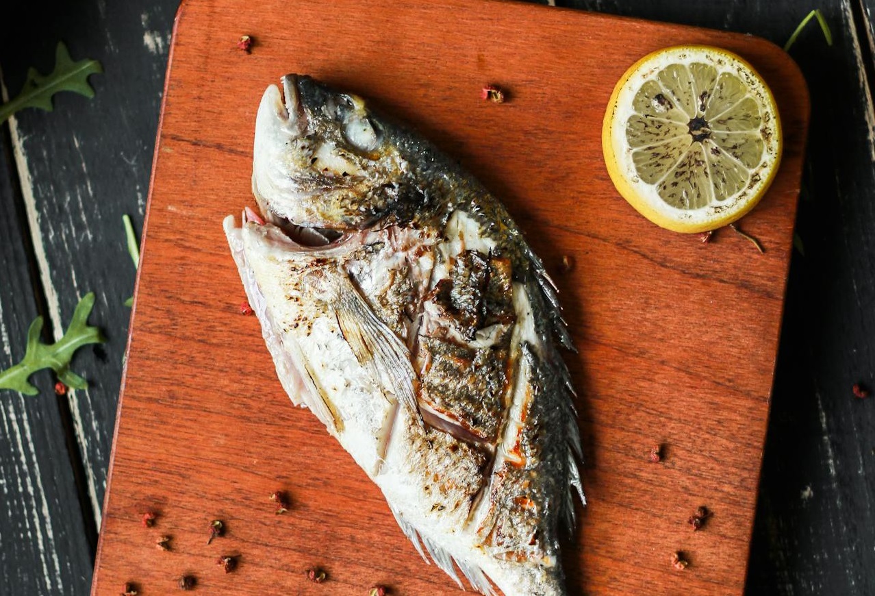 Fishing Under Way: A Bonus, Not a Meal Plan